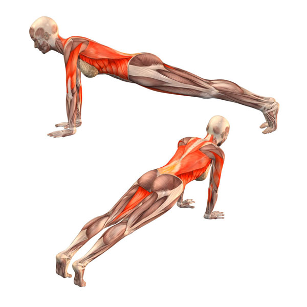 joga na mięśnie brzucha deska